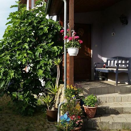 Urlaub Im Elsass Apartment Artolsheim Ngoại thất bức ảnh