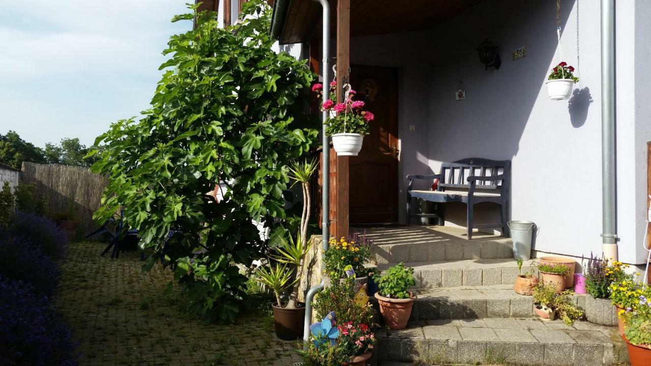 Urlaub Im Elsass Apartment Artolsheim Ngoại thất bức ảnh