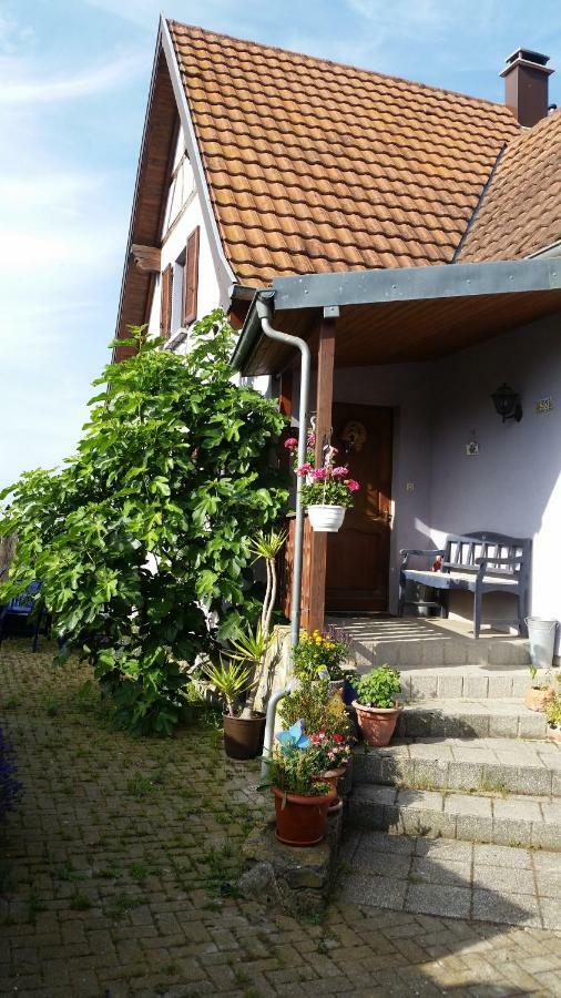Urlaub Im Elsass Apartment Artolsheim Ngoại thất bức ảnh